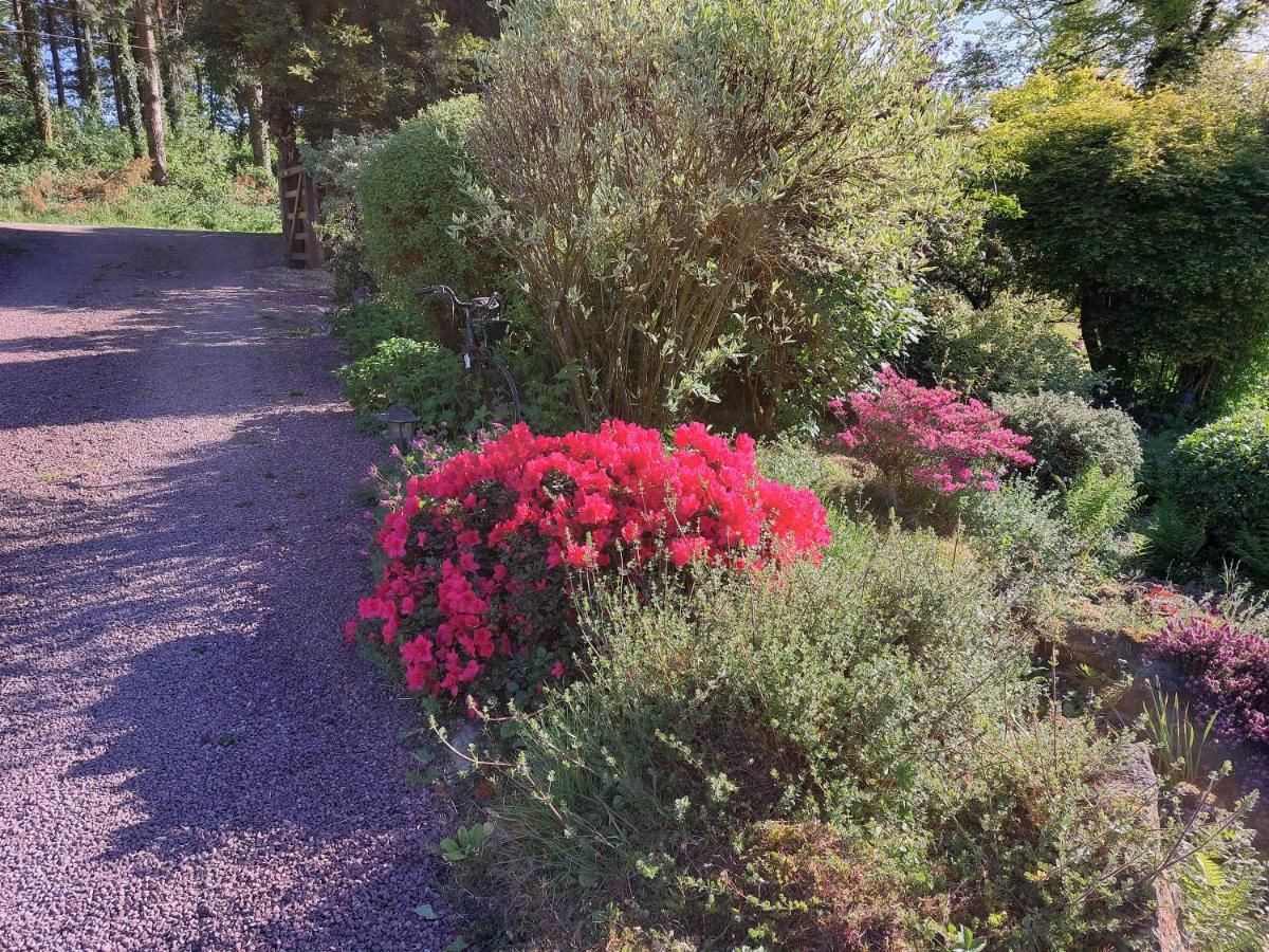 Le Petit Bois Normand - Chambre D'Hote Bed and Breakfast Champ-du-Boult Esterno foto