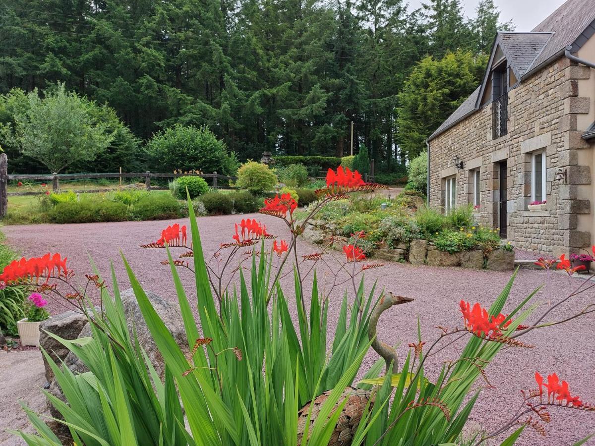 Le Petit Bois Normand - Chambre D'Hote Bed and Breakfast Champ-du-Boult Esterno foto